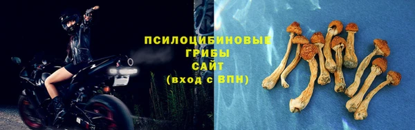 ALPHA-PVP Пересвет