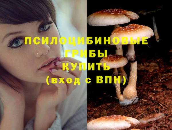 кокс Переславль-Залесский