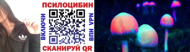 купить  цена  Железногорск  Псилоцибиновые грибы Cubensis 